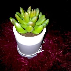 BATH&BODY WORKS SUCCULENT DESKTOP POCKETBAC HOLDER